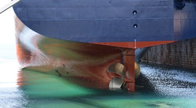 Three more vessels joining Neptune Lines fleet image